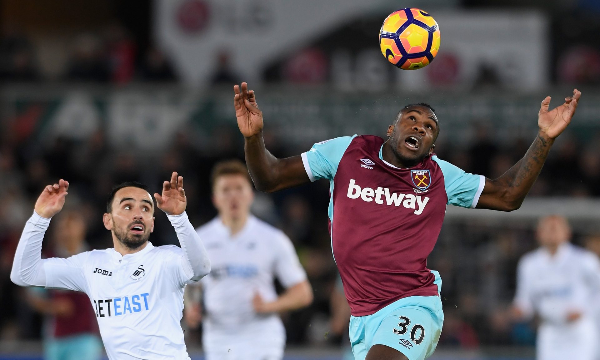 門和羅晉的 門和羅晉的